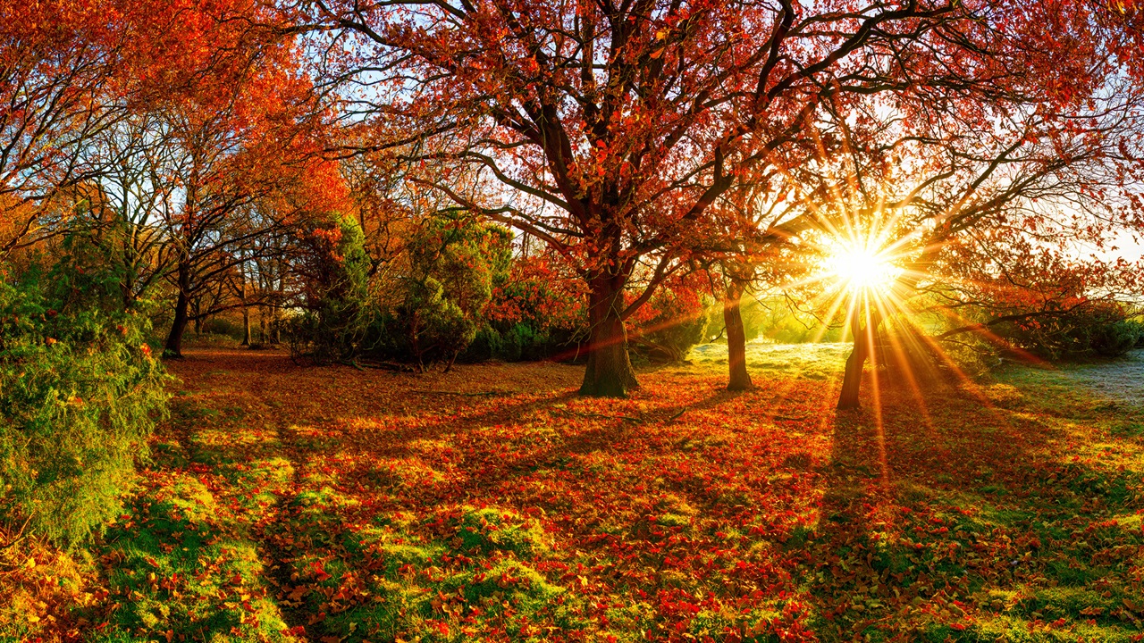 Aufgussplan Herbst 2025